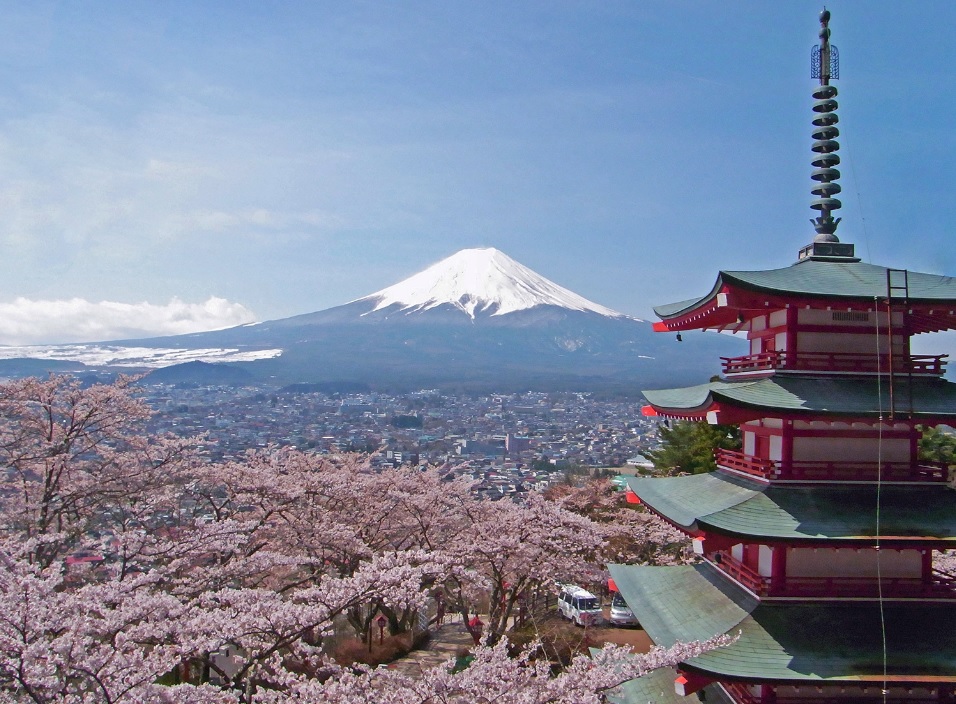Pesona Sakura Dan Gunung Fuji Di Kawaguchiko Liburan Ke Jepang