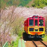 sagano-train-sakura